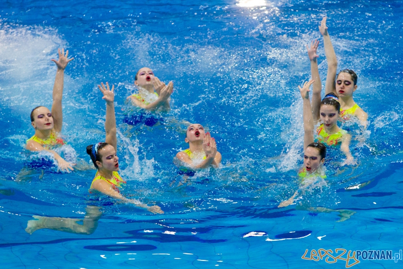 Synchro Poznań Cup 2013