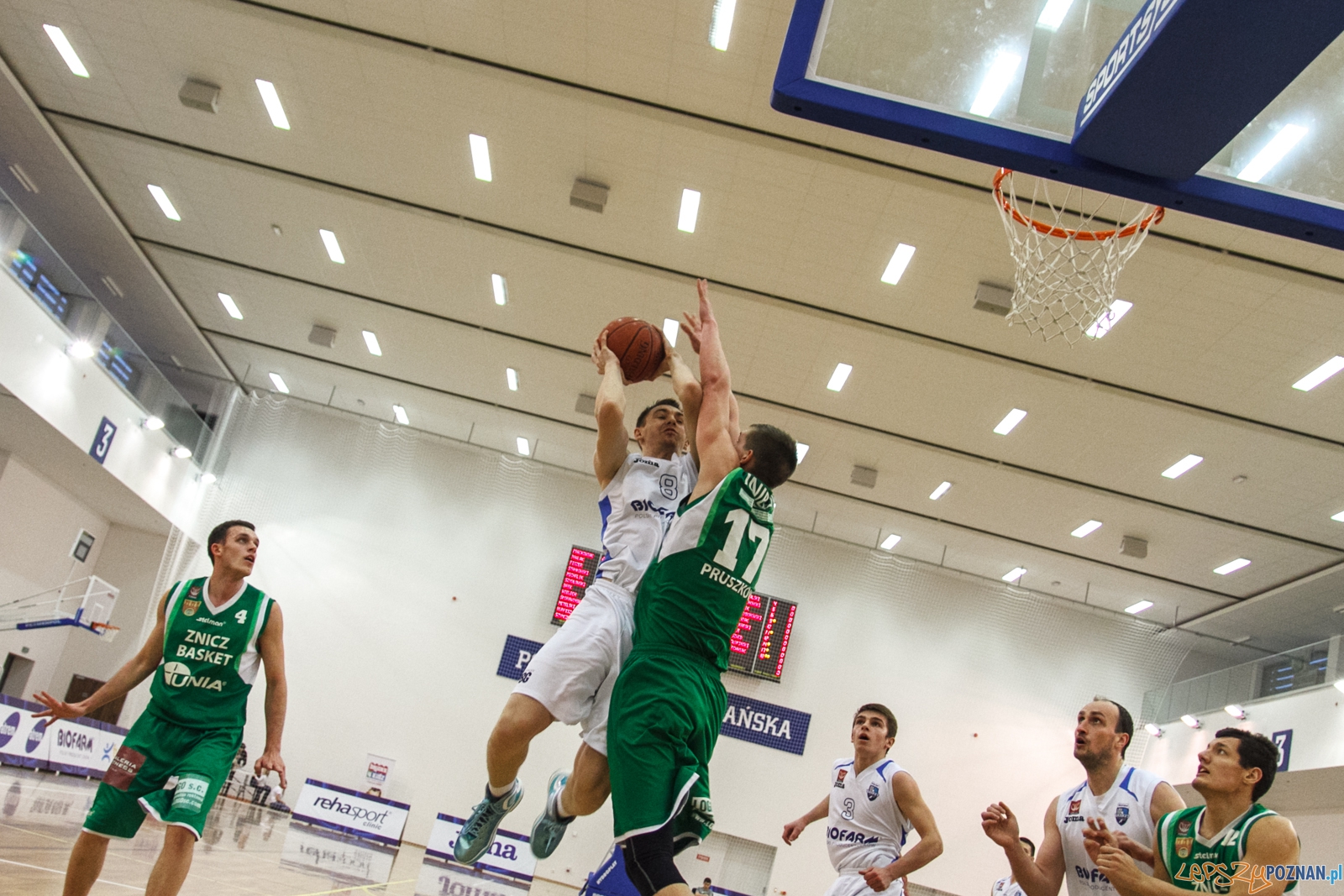 Biofarm - Znicz Pruszków 60:61