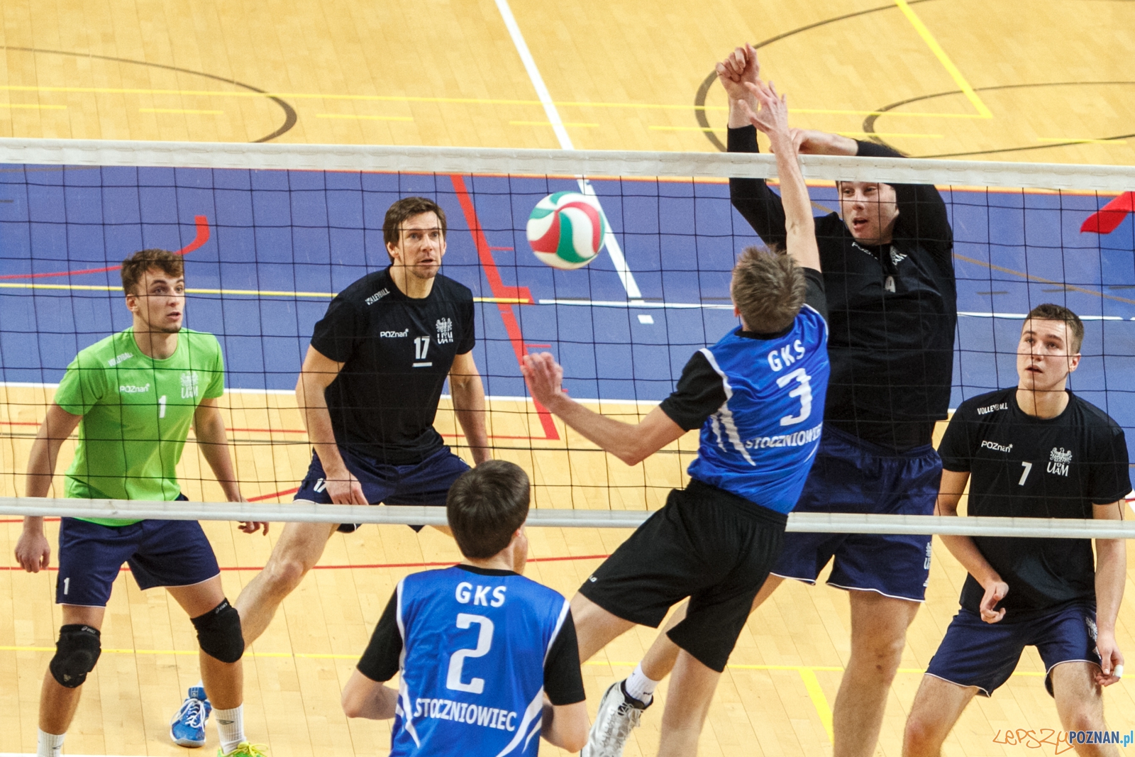 AZS pokonał Stoczniowca Gdańsk