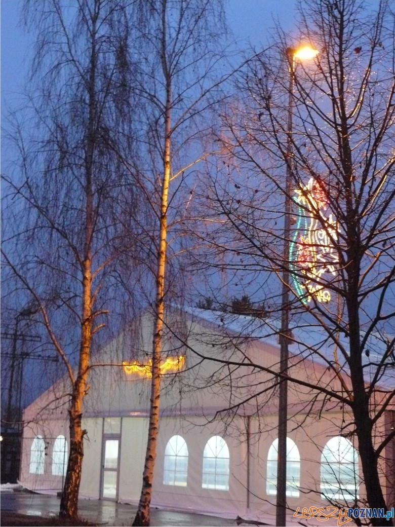 puszczykowo lodowisko noca Foto: puszczykowo lodowisko noca Foto: