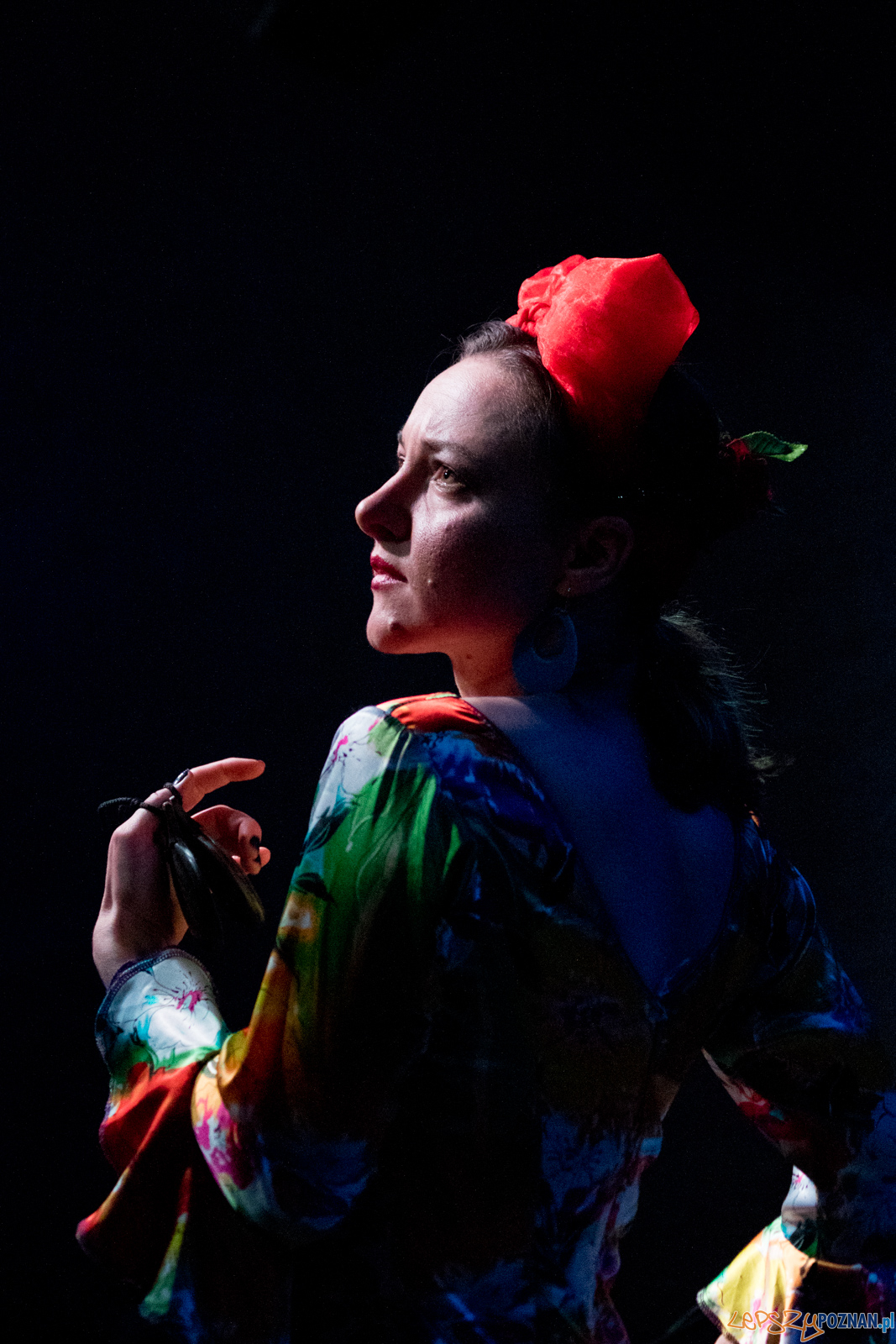 Entre Flamencos – koncert muzyki i tańca flamenco