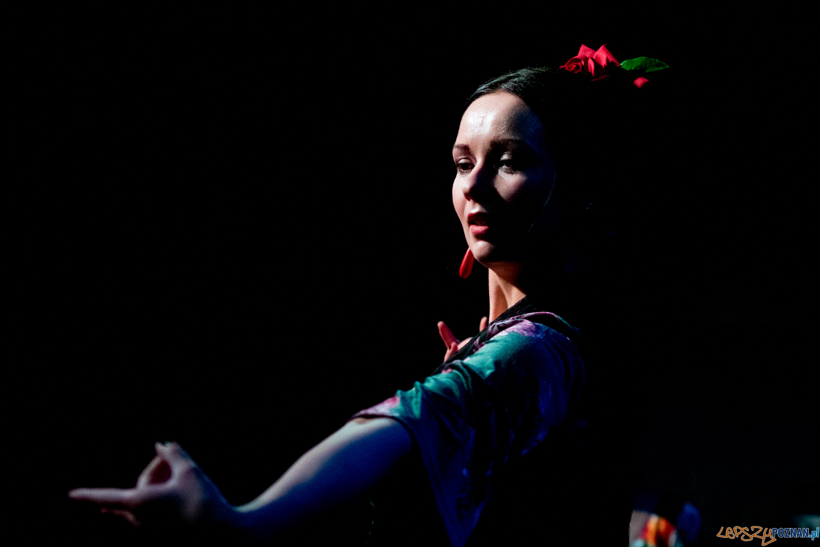 Entre Flamencos – koncert muzyki i tańca flamenco