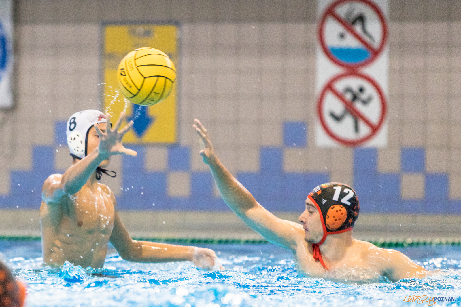 Waterpolo Cup 2019 – Hornets Koszyce – Kszo Ostrowiec Świętokr