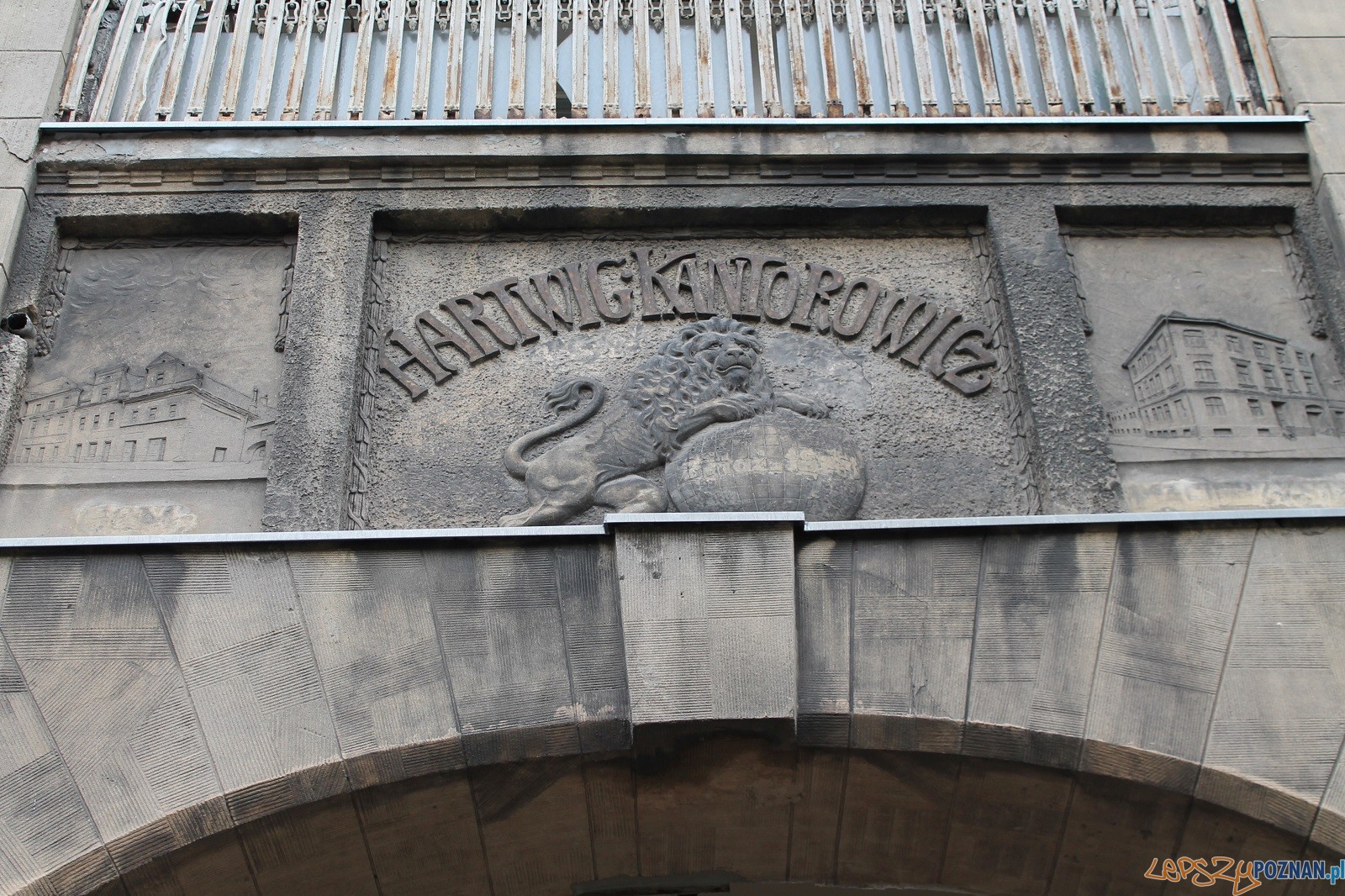 Kantorowicz Grochowe Laki (2) Foto: Tomasz Dworek Kantorowicz Grochowe Laki (2) Foto: Tomasz Dworek