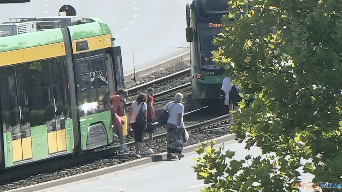 Wstrzymany ruch tramwajów Foto: lepszyPOZNAN